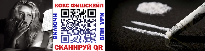 Купить закладки Кировск Cocaine Эквадор
