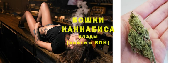 каннабис Дмитриев