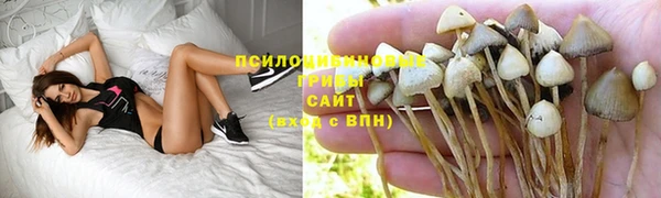 MDMA Дмитровск