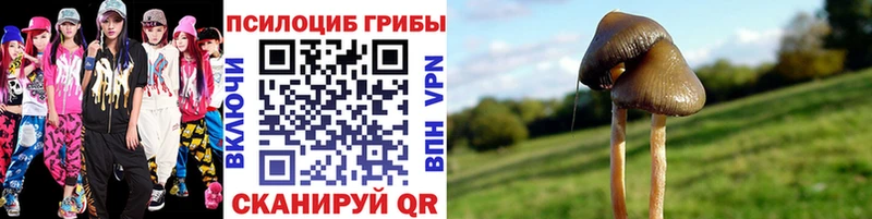 Псилоцибиновые грибы прущие грибы Купить Кировск